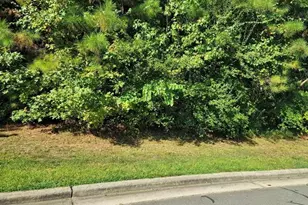 36 Bur Oak Ct, Pittsboro, NC 27312 - Photo 1