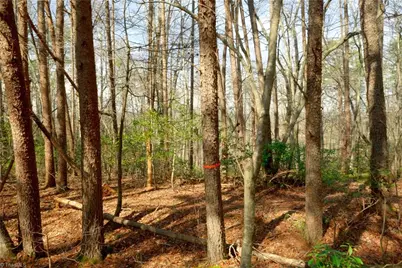 1089 Smith Road S, Westfield, NC 27053 - Photo 13