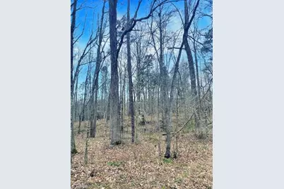 0 Parham Road, Roxboro, NC 27574 - Photo 9