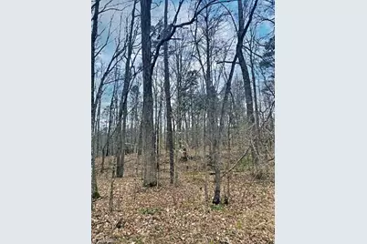 0 Parham Road, Roxboro, NC 27574 - Photo 7