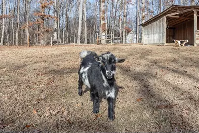 301 Beck Forest Lane, Thomasville, NC 27360 - Photo 43