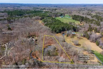 160 Nanzetta Way, Lewisville, NC 27023 - Photo 43