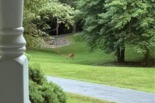 3501 River Ridge Rd, Pfafftown, NC 27040 - Photo 47