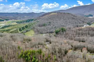 362 Fairway Oaks Dr, West Jefferson, NC 28694 - Photo 45