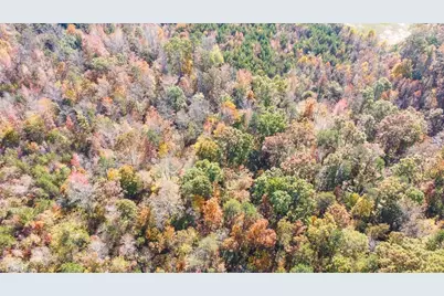 5509,5505,5505Zz, 5509Zz, Drake Road, Greensboro, NC 27406 - Photo 15