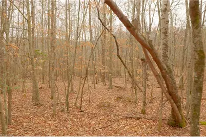 3331 Nc Highway 66 S, Westfield, NC 27053 - Photo 17