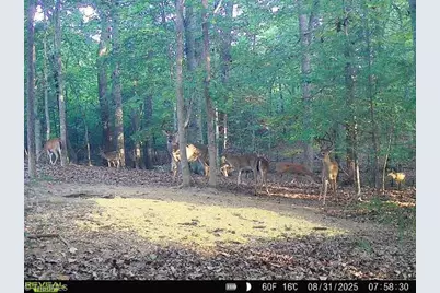 4366 Nc Highway 49 S, Asheboro, NC 27205 - Photo 41