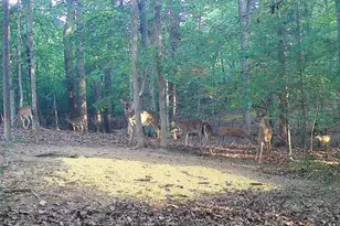 4366 Nc Hwy 49 S, Asheboro, NC 27205 - Photo 41