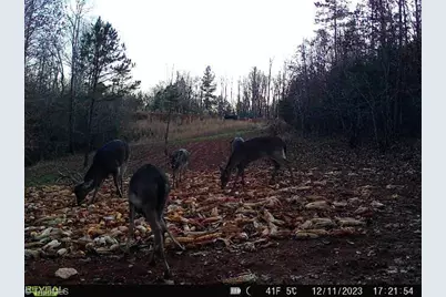 4366 Nc Highway 49 S, Asheboro, NC 27205 - Photo 43