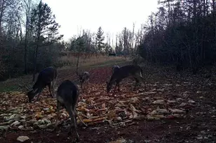 4366 Nc Hwy 49 S, Asheboro, NC 27205 - Photo 43