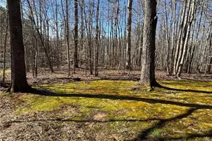 1055 Brookridge Dr, Walnut Cove, NC 27052 - Photo 33