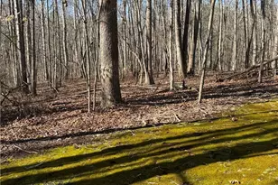 1055 Brookridge Dr, Walnut Cove, NC 27052 - Photo 37