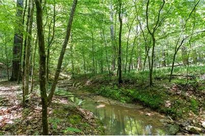 6910 Long Meadow Lane, Whitsett, NC 27377 - Photo 9