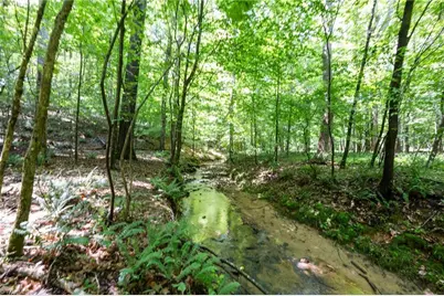 6910 Long Meadow Lane, Whitsett, NC 27377 - Photo 11