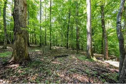 6910 Long Meadow Lane, Whitsett, NC 27377 - Photo 13