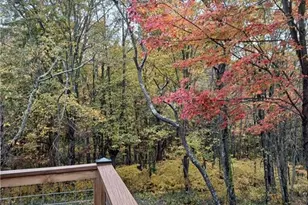 36 Lake St, Sparta, NC 28675 - Photo 27