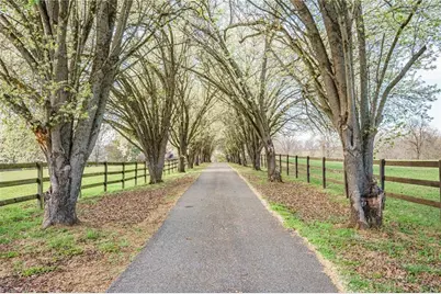 1924 Buck Shoals Road, Hamptonville, NC 27020 - Photo 11