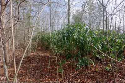 0 Lisa Lane, Mount Airy, NC 27030 - Photo 23