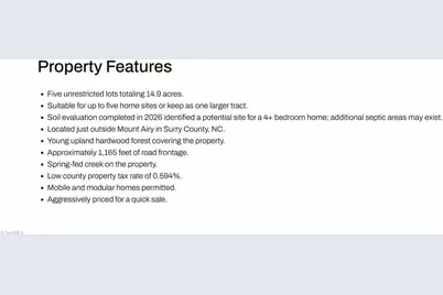 0 Lisa Lane, Mount Airy, NC 27030 - Photo 41