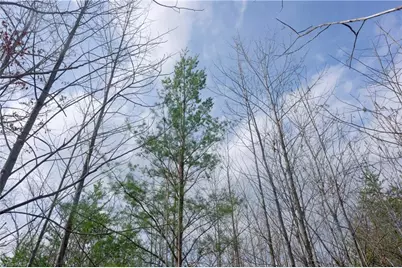 0 Lisa Lane, Mount Airy, NC 27030 - Photo 21