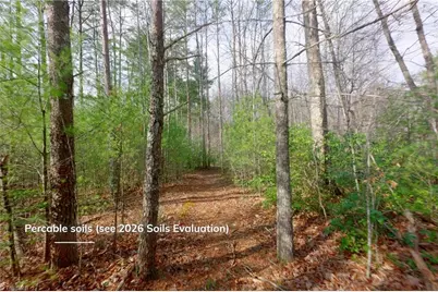 0 Lisa Lane, Mount Airy, NC 27030 - Photo 17