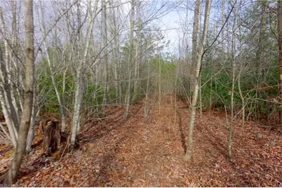 0 Lisa Lane, Mount Airy, NC 27030 - Photo 27
