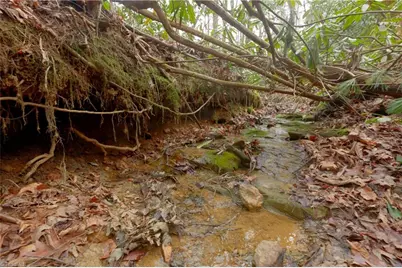 0 Lisa Lane, Mount Airy, NC 27030 - Photo 25