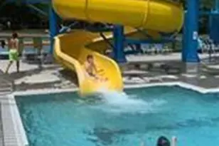 6412 Gardenview Rd, Pleasant Garden, NC 27313 - Photo 25