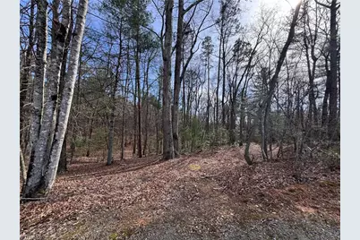 Tbd Leeford Lane, Elkin, NC 28621 - Photo 3