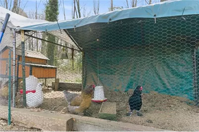 613 Dick Street, Gibsonville, NC 27249 - Photo 35