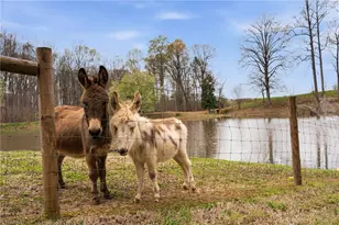 6777 Hockett Trail, Randleman, NC 27317 - Photo 37