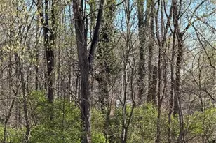 0 Pine Woods Church Rd, Thomasville, NC 27360 - Photo 1