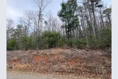 Tbd Sutters Ridge Road, McGrady, NC 28649 - Photo 7