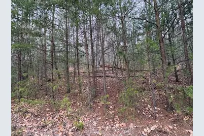 Tbd Sutters Ridge Road, McGrady, NC 28649 - Photo 11