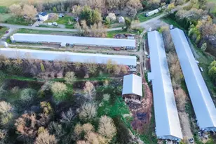 000 Arbor Grove Baptist Church Rd, Roaring River, NC 28669 - Photo 1