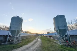 000 Arbor Grove Baptist Church Rd, Roaring River, NC 28669 - Photo 7
