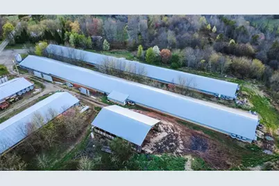 000 Arbor Grove Baptist Church Road, Roaring River, NC 28669 - Photo 3