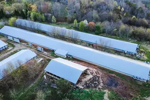 000 Arbor Grove Baptist Church Rd, Roaring River, NC 28669 - Photo 3