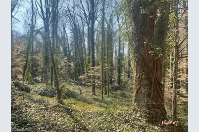 123 Cloister Oaks Circle, Winston-Salem, NC 27127 - Photo 3