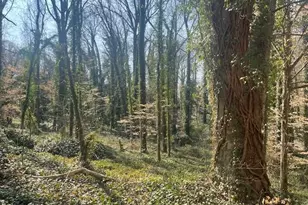 123 Cloister Oaks Cir, Winston-Salem, NC 27127 - Photo 3