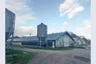 000 N Lomax Road, Traphill, NC 28685 - Photo 5