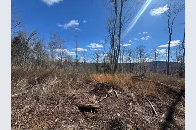 00 Billings Hill Church Road, Traphill, NC 28685 - Photo 7