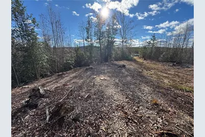 00 Billings Hill Church Road, Traphill, NC 28685 - Photo 13