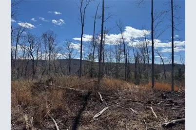 00 Billings Hill Church Road, Traphill, NC 28685 - Photo 1