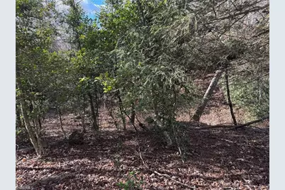 00 Billings Hill Church Road, Traphill, NC 28685 - Photo 21