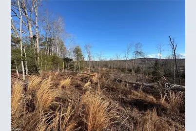 00 Billings Hill Church Road, Traphill, NC 28685 - Photo 9