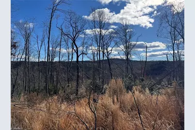 00 Billings Hill Church Road, Traphill, NC 28685 - Photo 17