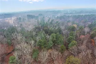 4919 Mt Willing Rd, Mebane, NC 27302 - Photo 29