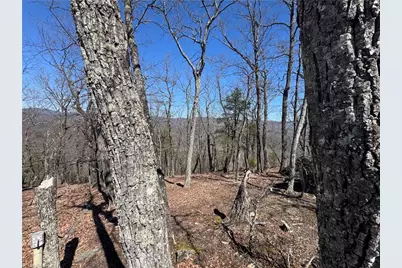 438 Dogwood Circle, Traphill, NC 28685 - Photo 7