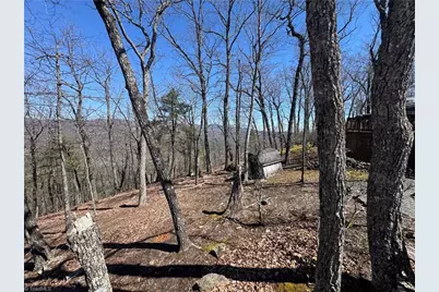 438 Dogwood Circle, Traphill, NC 28685 - Photo 9